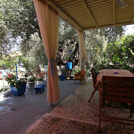 Skála Kallirákhis Joanna'S House 빌라 외부 사진