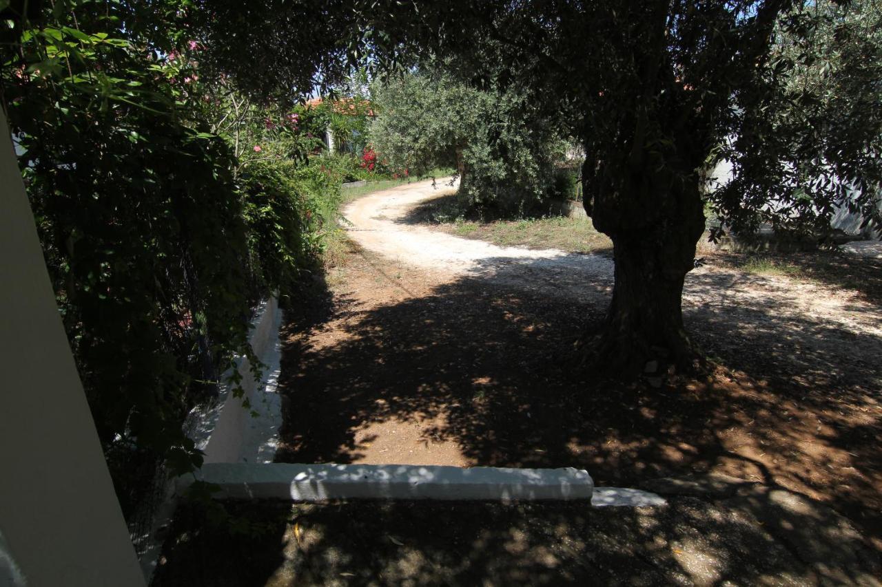 Skála Kallirákhis Joanna'S House 빌라 외부 사진